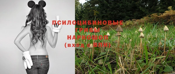 соль ск Балабаново