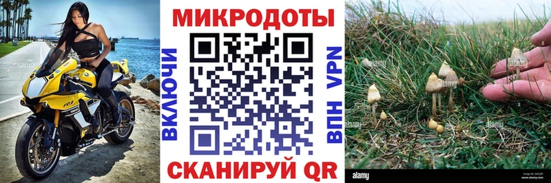 Галлюциногенные грибы GOLDEN TEACHER  MEGA ссылка  Невьянск 